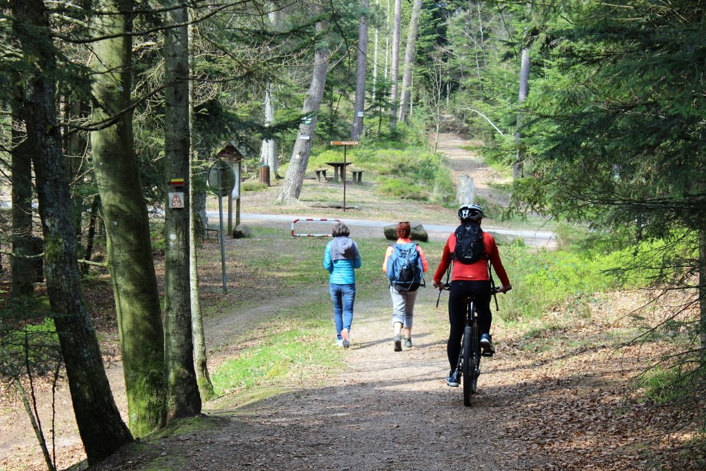 Randonnées Vallons des Vosges